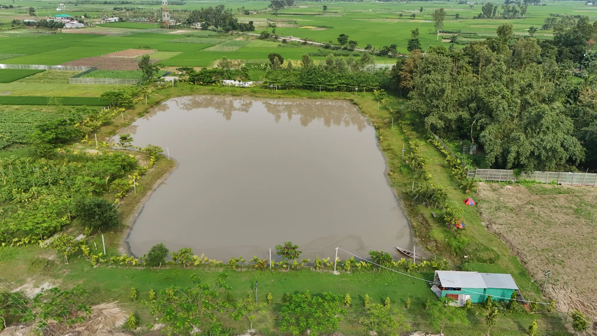 Pond and landscaped edge